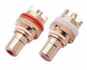 RCA N1029 гнездо на блок, пара (красное/белое  Gold),  , R Connector (Китай)