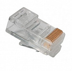 TP10P10C вилка, RJ-45 , Китай